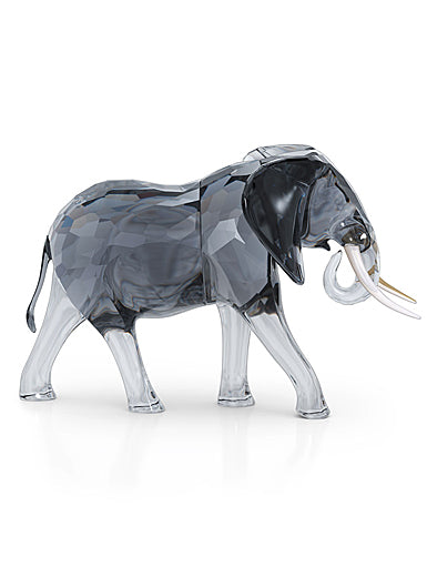 Swarovski - Elegance of Africa Elephant Bull