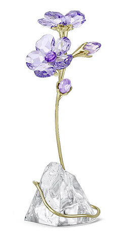 Swarovski - Florere Rozanne
