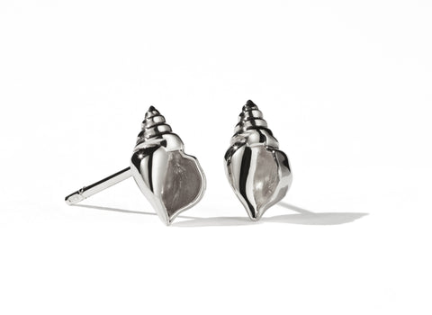 Meadowlark - Conch Stud Earrings Silver
