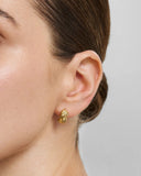 Ania Haie - Swan Pearl Drop Earring Gold Plate