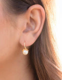 Georgini - Oceans Palm Cove Freshwater Pearl Earrings Gold