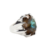Nick Von K - Jaws Ring in Labradorite
