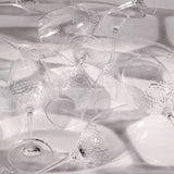 Vera Wang - Wine Glass Set Of 2