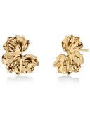 Edblad - Gerana Studs Large Gold
