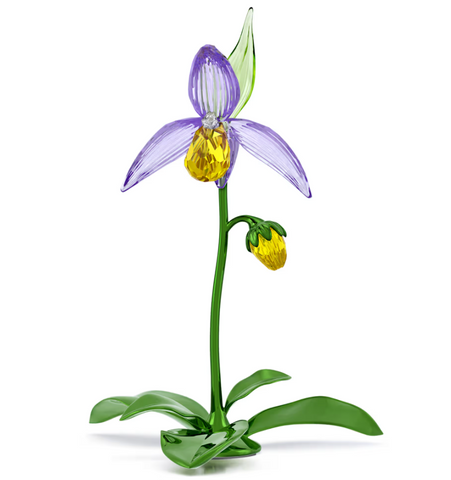 Swarovski - Florere Lady Slipper Orchid