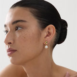 Najo - Freshwater Pearl Drop Earrings In Yellow Gold