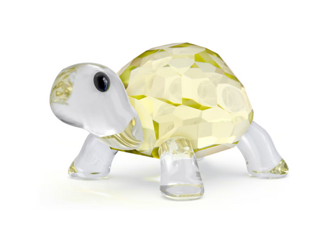 Swarovski - Idyllia Baby Tortoise
