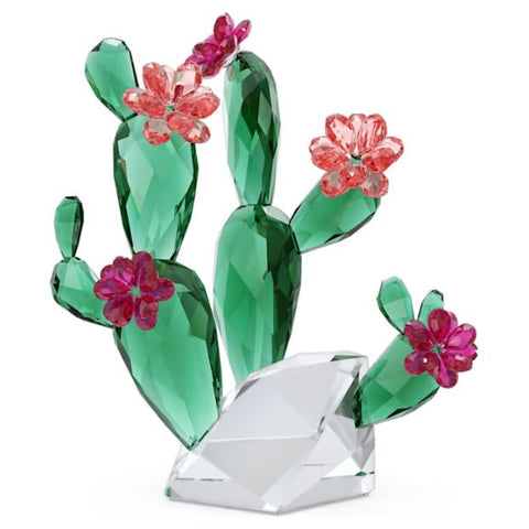 Swarovski - Crystal Flowers Desert Pink Cactus