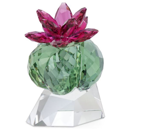 Swarovski - Crystal Flowers Bordeaux Cactus