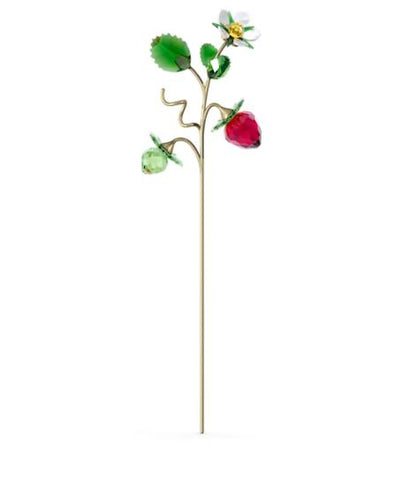 Swarovski - Garden Tales Wild Strawberry