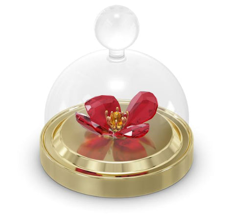 Swarovski - Garden Tales Red Poppy Bell Jar Small