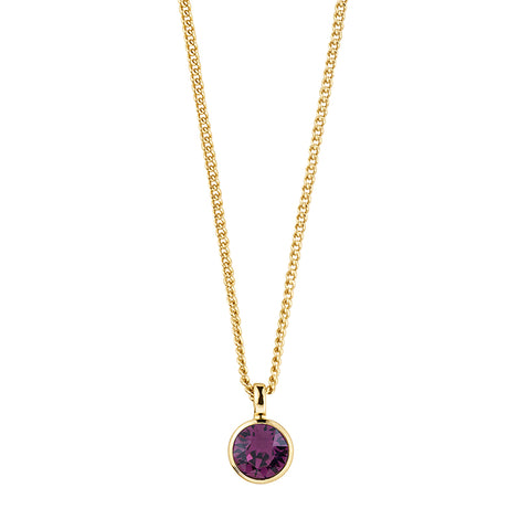 Dyrberg/Kern Ette SG Purple Necklace
