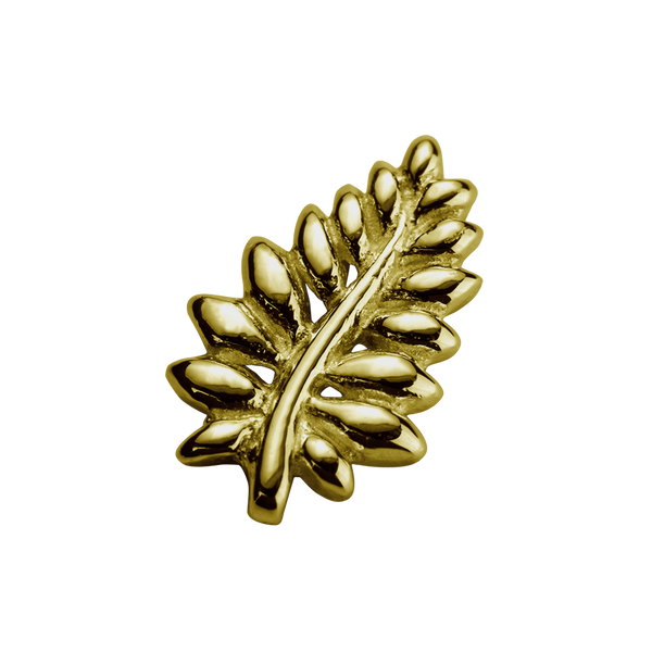 STOW NZ Fern (Loyal) Charm - 9ct Yellow Gold