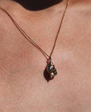 Meadowlark - Conch Charm Necklace Gold Plated