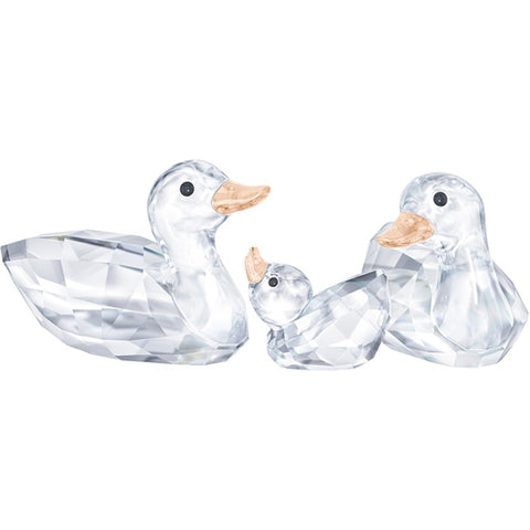 Swarovski - Ducks