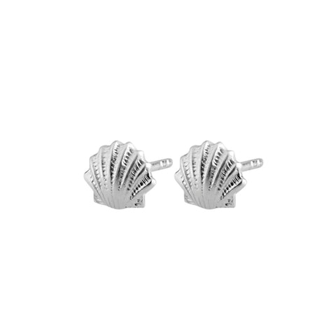 Coast - Seashell Stud Earrings