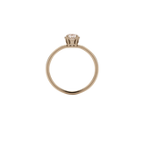 Meadowlark Signature Solitaire Ring - 9ct Rose Gold & Morganite